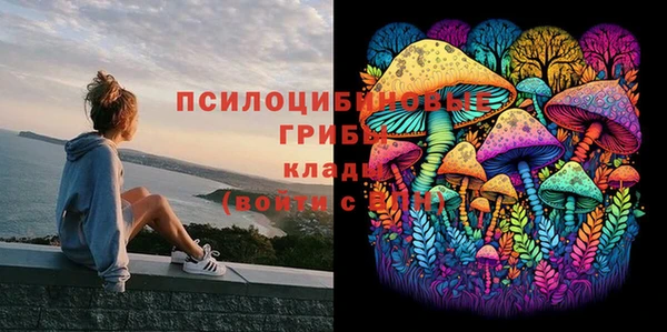 PSILOCYBIN Алексеевка
