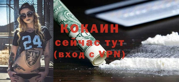 тгк Алексин